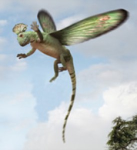 rex.jpg
